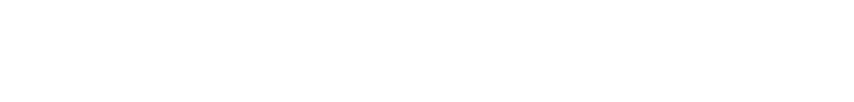 Normflex Logo